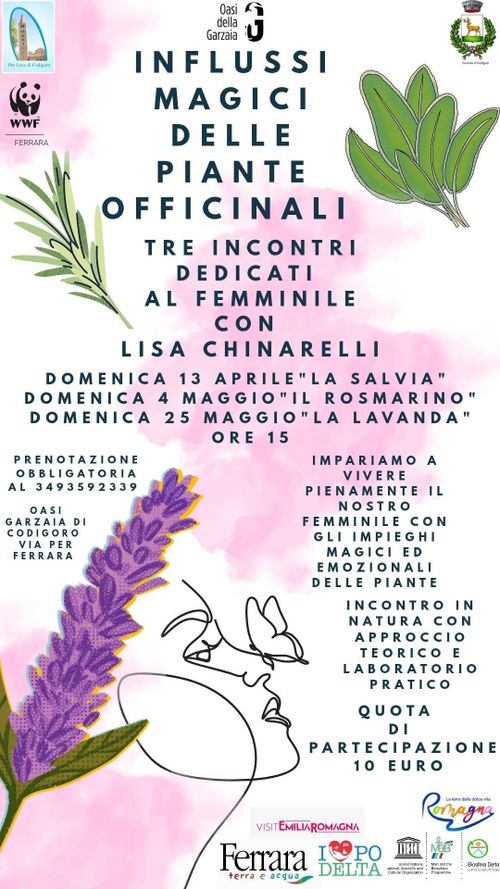 Influssi magici delle piante officinali