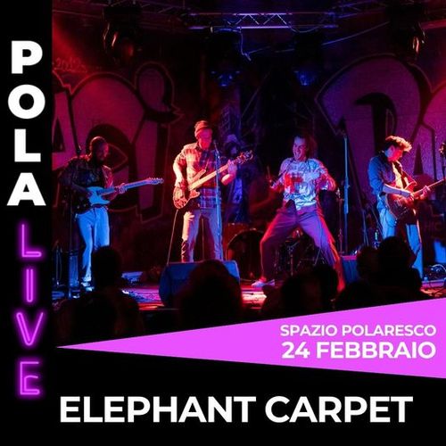 Elephant Carpet