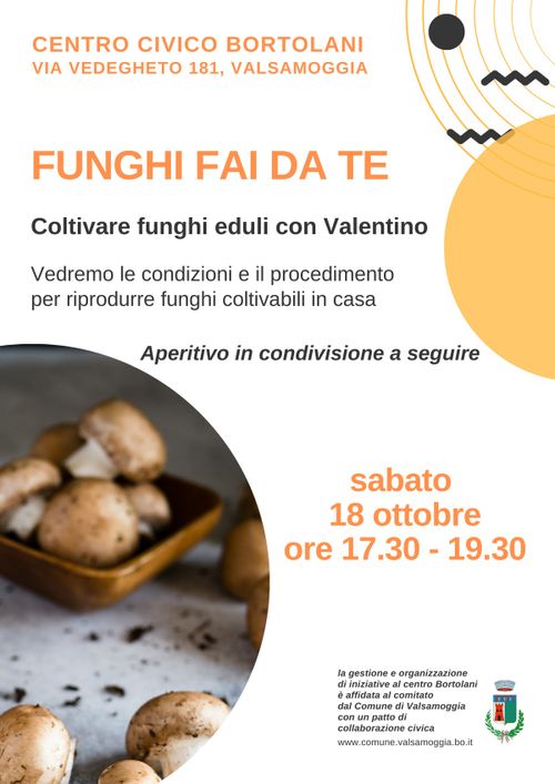 Funghi fai da te!