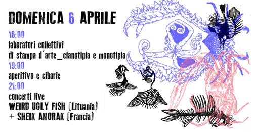 CONCERTI LIVE+LABORATORI