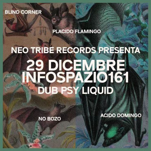 Neo Tribe Records Night